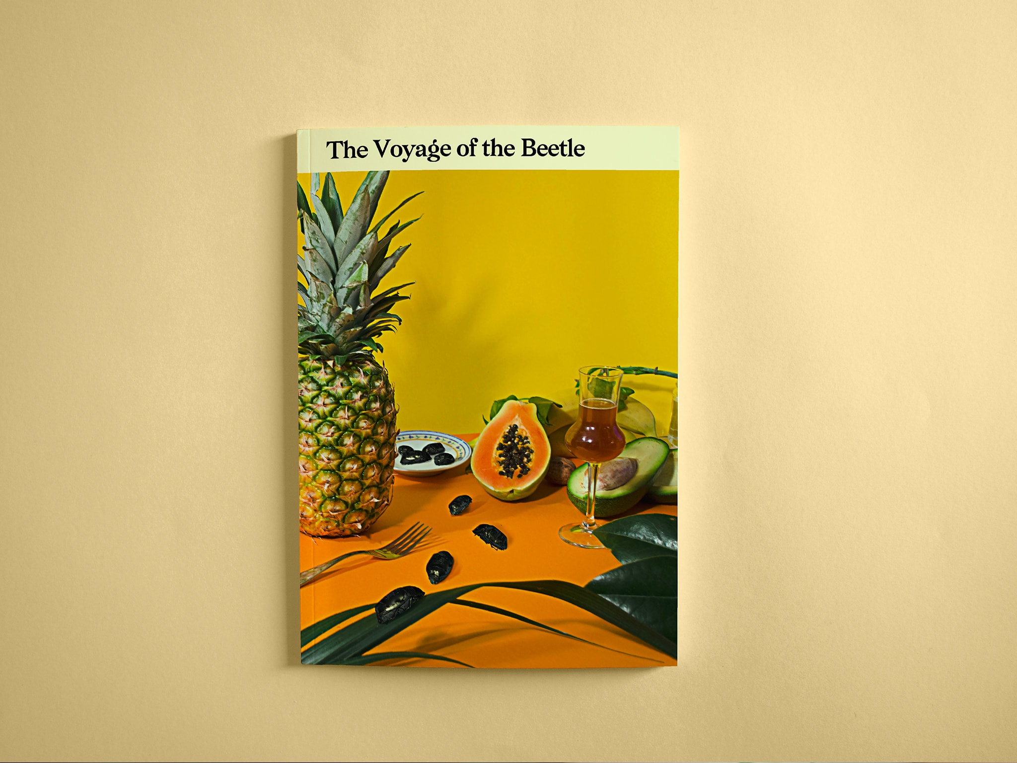 The Voyage of the Beetle – Editoria